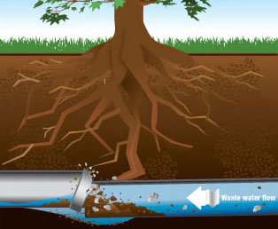 On The Level Plumbing & Heating sewer repairs On The Level Plumbing & Heating sewer repairs